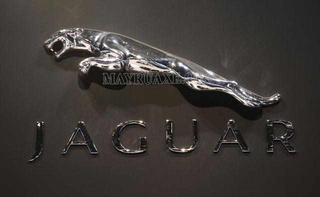 Jaguar là gì? Lịch sử tên thường gọi xe pháo Jaguar