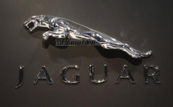 Jaguar là gì? Lịch sử tên gọi xe Jaguar