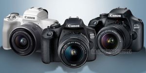 Canon- thương hiệu máy ảnh được nhiều người lựa chọn
