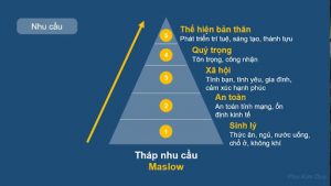 5 nhu cầu của Maslow